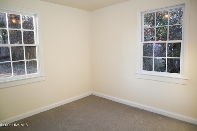 unfurnished room featuring carpet floors