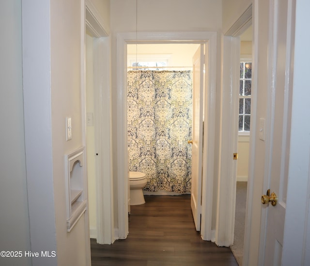 hall with dark wood-type flooring