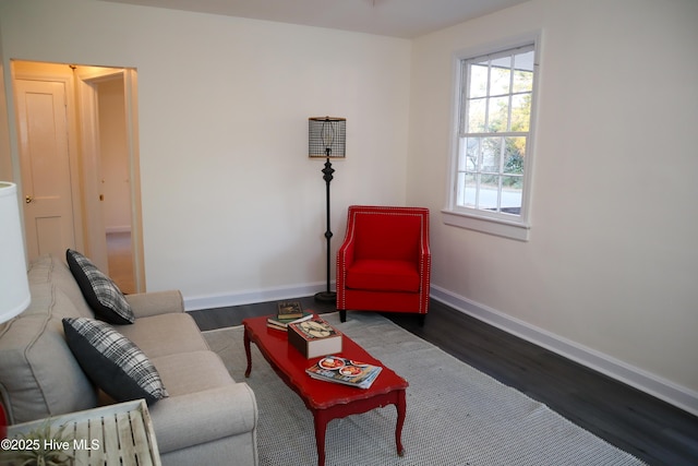 living room with dark wood-type flooring