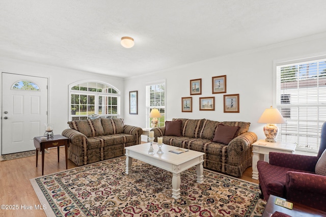 living room featuring crown molding, plenty of natural light, and light hardwood / wood-style flooring