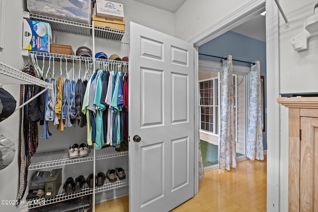 spacious closet featuring wood finished floors