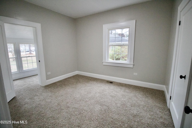 empty room with carpet flooring and a wealth of natural light