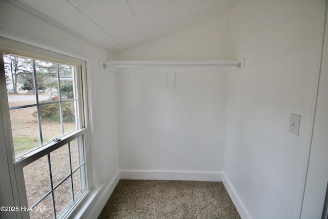 spacious closet with lofted ceiling and carpet flooring