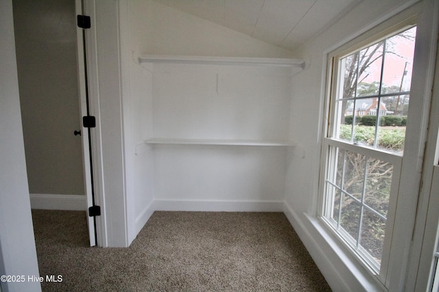 walk in closet with carpet flooring and vaulted ceiling