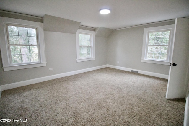 bonus room featuring carpet