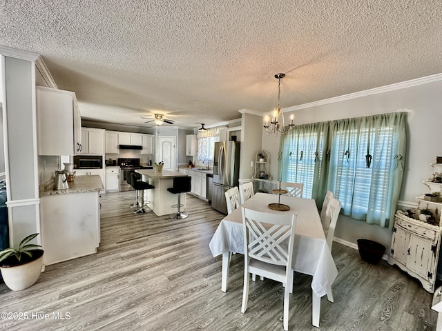 dining space featuring plenty of natural light, sink, and light hardwood / wood-style flooring