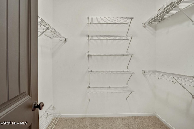 spacious closet with carpet