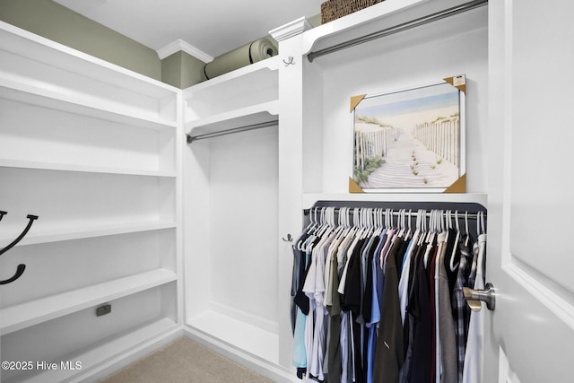 view of spacious closet