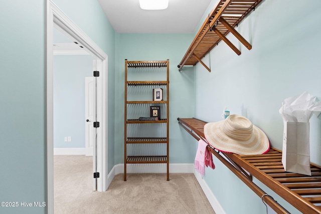 spacious closet with light colored carpet