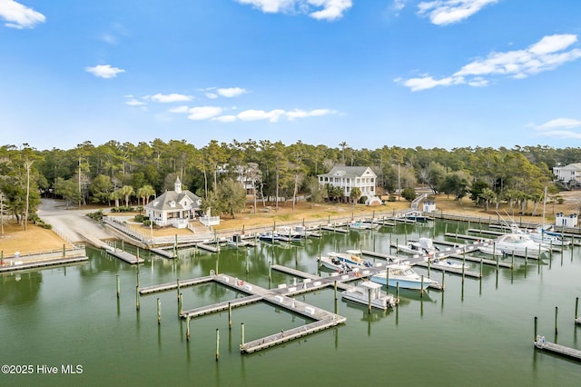 dock area featuring a water view