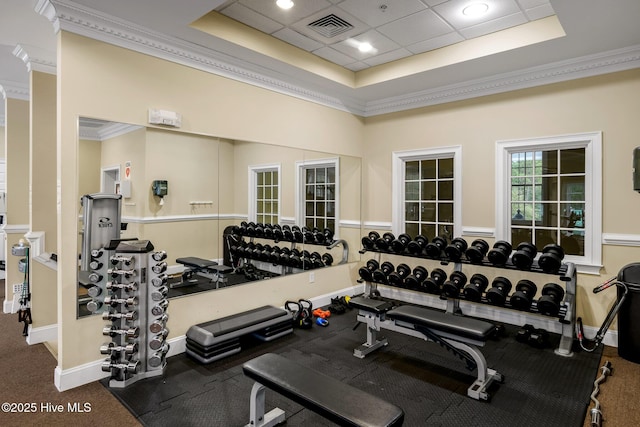 gym featuring crown molding, a drop ceiling, and a tray ceiling