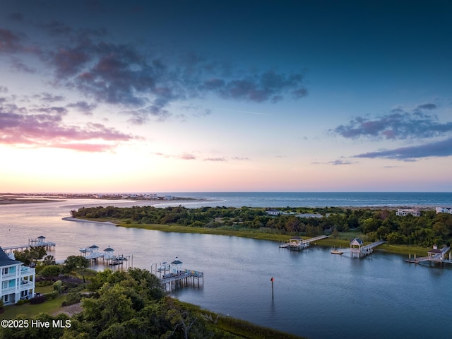 property view of water