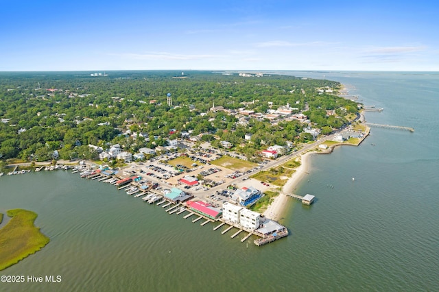 drone / aerial view featuring a water view and a forest view