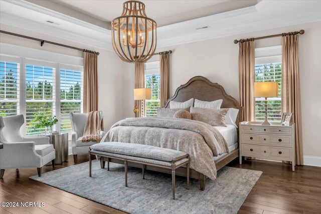 bedroom featuring a tray ceiling, multiple windows, and dark wood finished floors