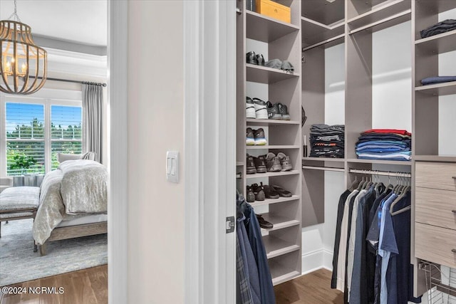 walk in closet with dark wood finished floors and a notable chandelier