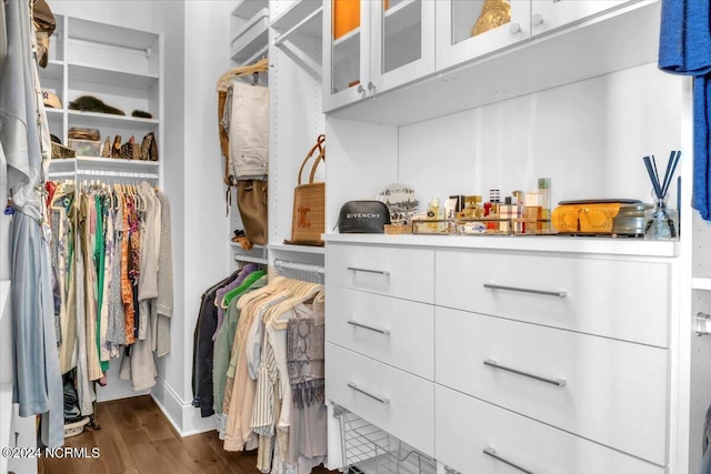 spacious closet with dark wood-style floors