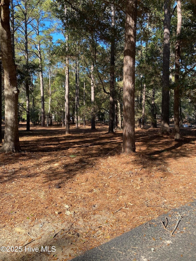 670 Cypress Grove Ct SE, Bolivia NC, 28422 land for sale