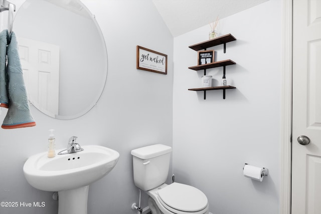 bathroom featuring vaulted ceiling and toilet