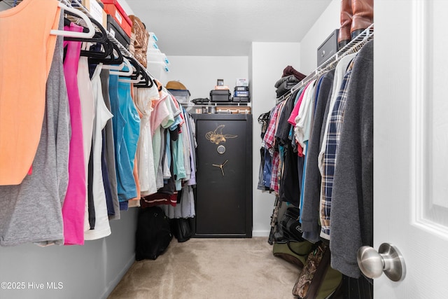 spacious closet with light colored carpet