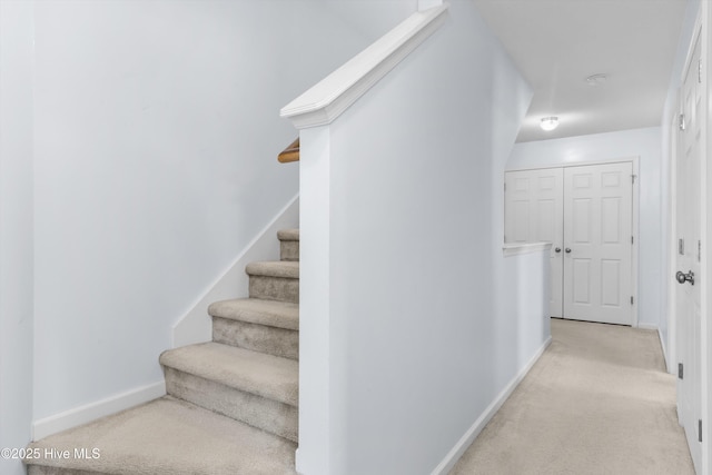 stairs with carpet flooring