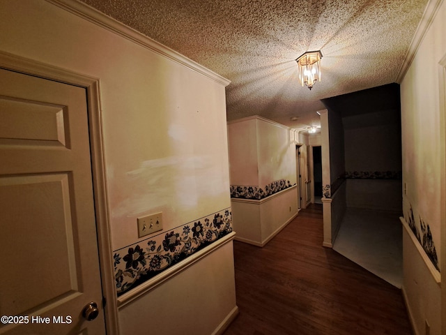 hallway with ornamental molding, dark hardwood / wood-style flooring, and a textured ceiling