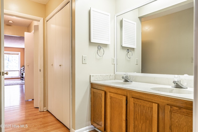 bathroom featuring vanity and wood-type flooring