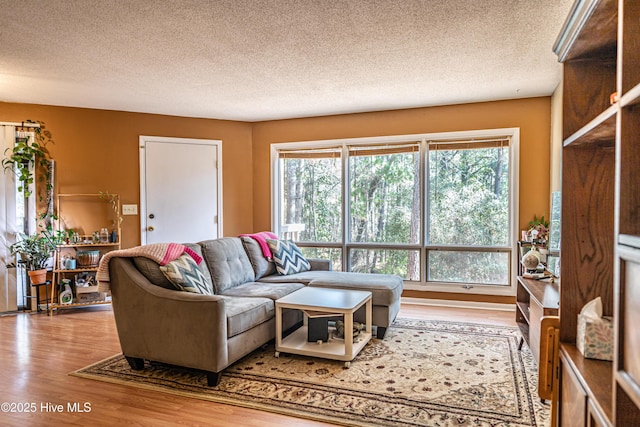 living room featuring a textured ceiling and light wood-type flooring