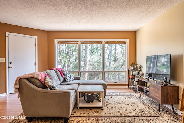 living room featuring hardwood / wood-style floors and a textured ceiling