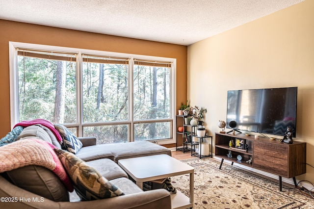 living room featuring a textured ceiling and light wood-type flooring