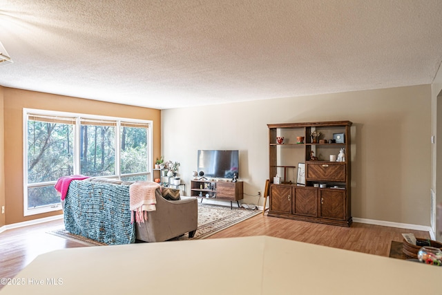 living room featuring hardwood / wood-style floors and a textured ceiling