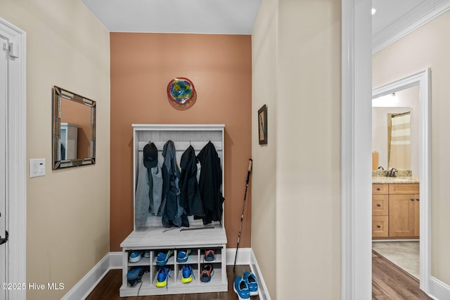 mudroom featuring hardwood / wood-style floors and sink