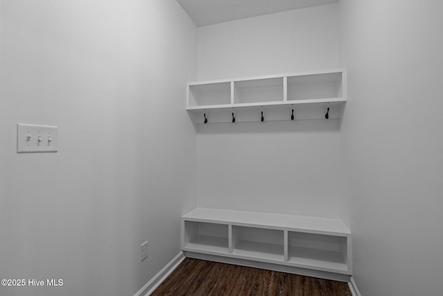 mudroom with dark hardwood / wood-style flooring