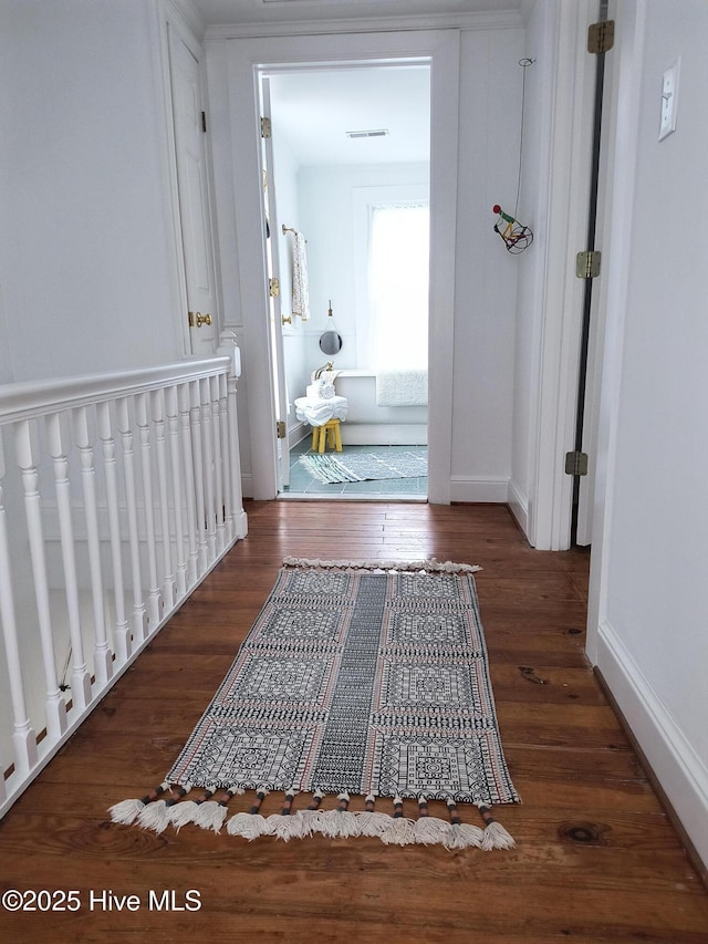 hallway featuring dark wood-type flooring