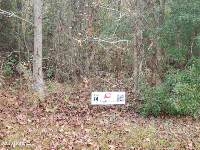 LOT74 Eagle Nest Trl, Blounts Creek NC, 27814 land for sale