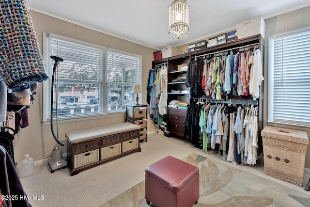 walk in closet with light colored carpet and an inviting chandelier