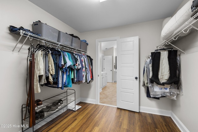 spacious closet with hardwood / wood-style flooring