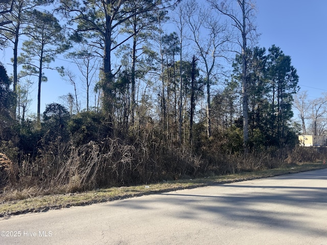 2359 Shoreline Dr SW, Supply NC, 28462 land for sale