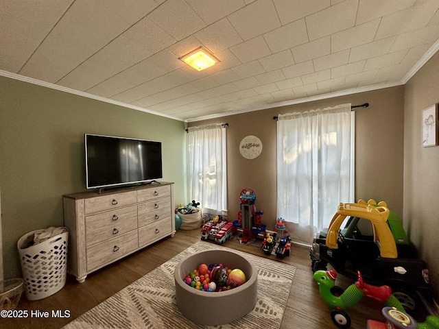 playroom featuring a healthy amount of sunlight, dark hardwood / wood-style floors, and ornamental molding