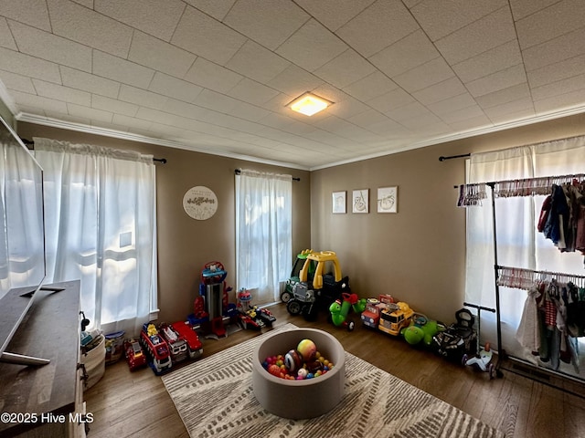 game room featuring hardwood / wood-style flooring and crown molding