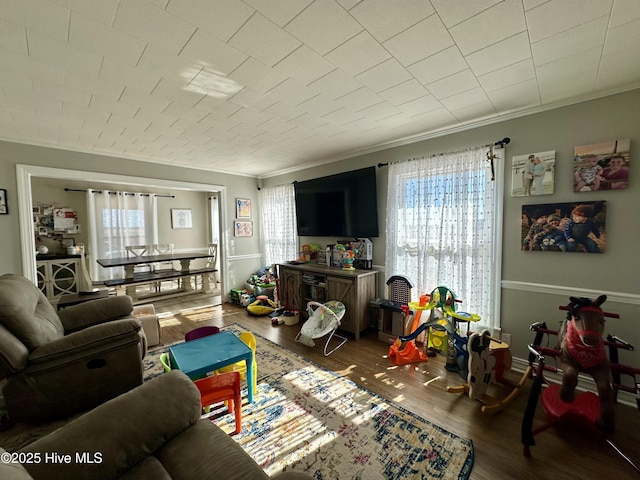 living room featuring crown molding and hardwood / wood-style floors