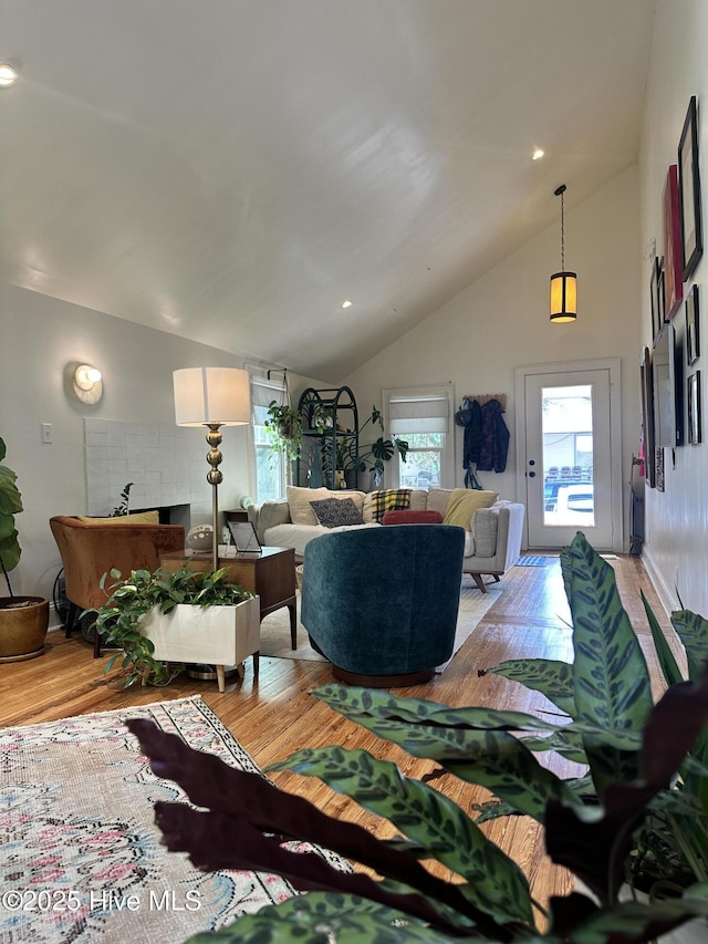 living room featuring high vaulted ceiling and light hardwood / wood-style flooring