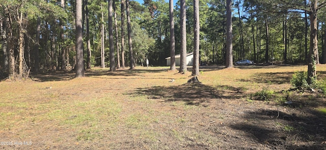 Listing photo 3 for 250 N Pigott Rd, Gloucester NC 28528