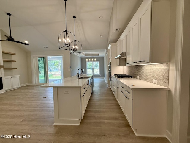 3387 Four Water Ln SW, Supply, NC 28462 - kitchen with light wood-type flooring, vaulted ceiling, under cabinet range hood, decorative backsplash, and light countertops