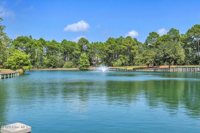 view of water feature