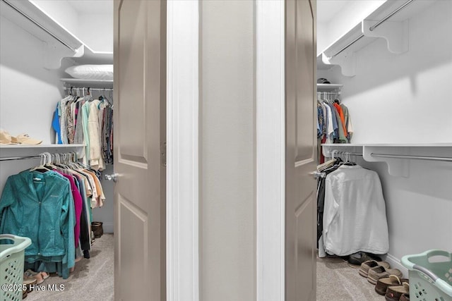 walk in closet featuring light colored carpet