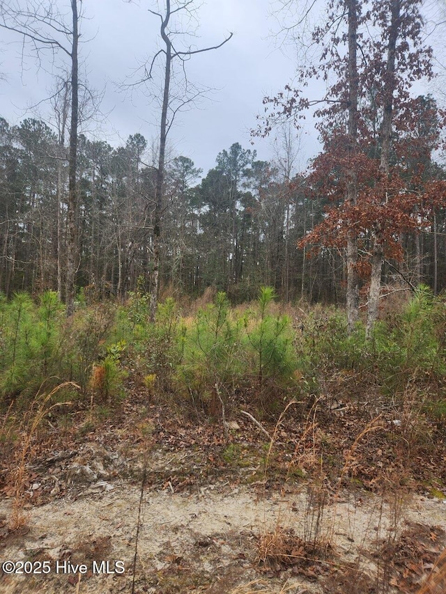 2508 Wild Turkey Rd Unit 43, New Bern NC, 28562 land for sale