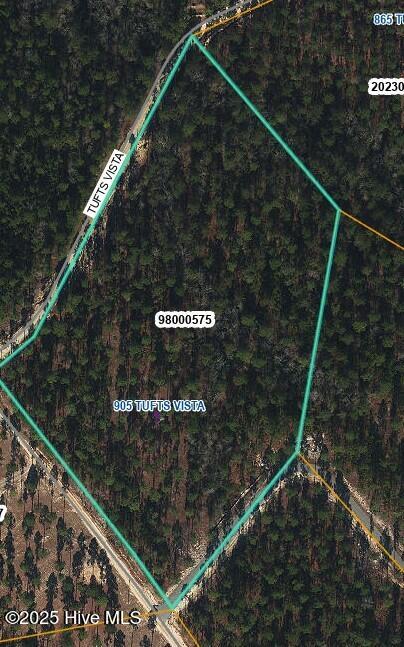 905 Tufts Vista 503 & 504, Jackson Springs NC, 27281 land for sale