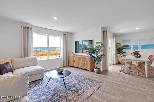 living room with hardwood / wood-style flooring