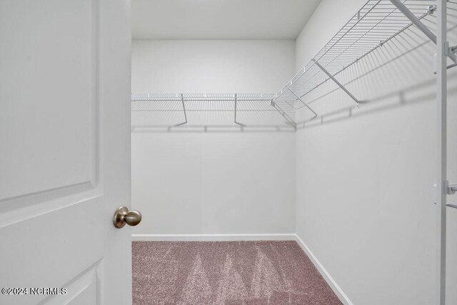 bathroom with toilet and hardwood / wood-style floors