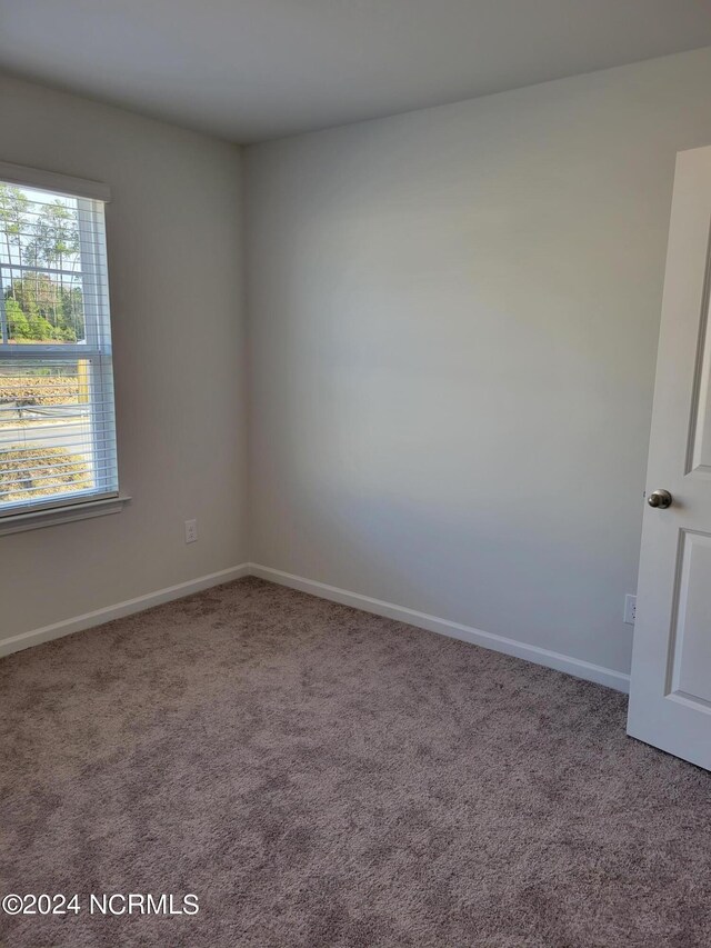 bedroom with carpet